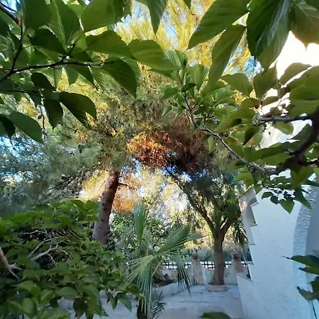 Leda Mancaversa - Cis Le07508591000011672 Villa